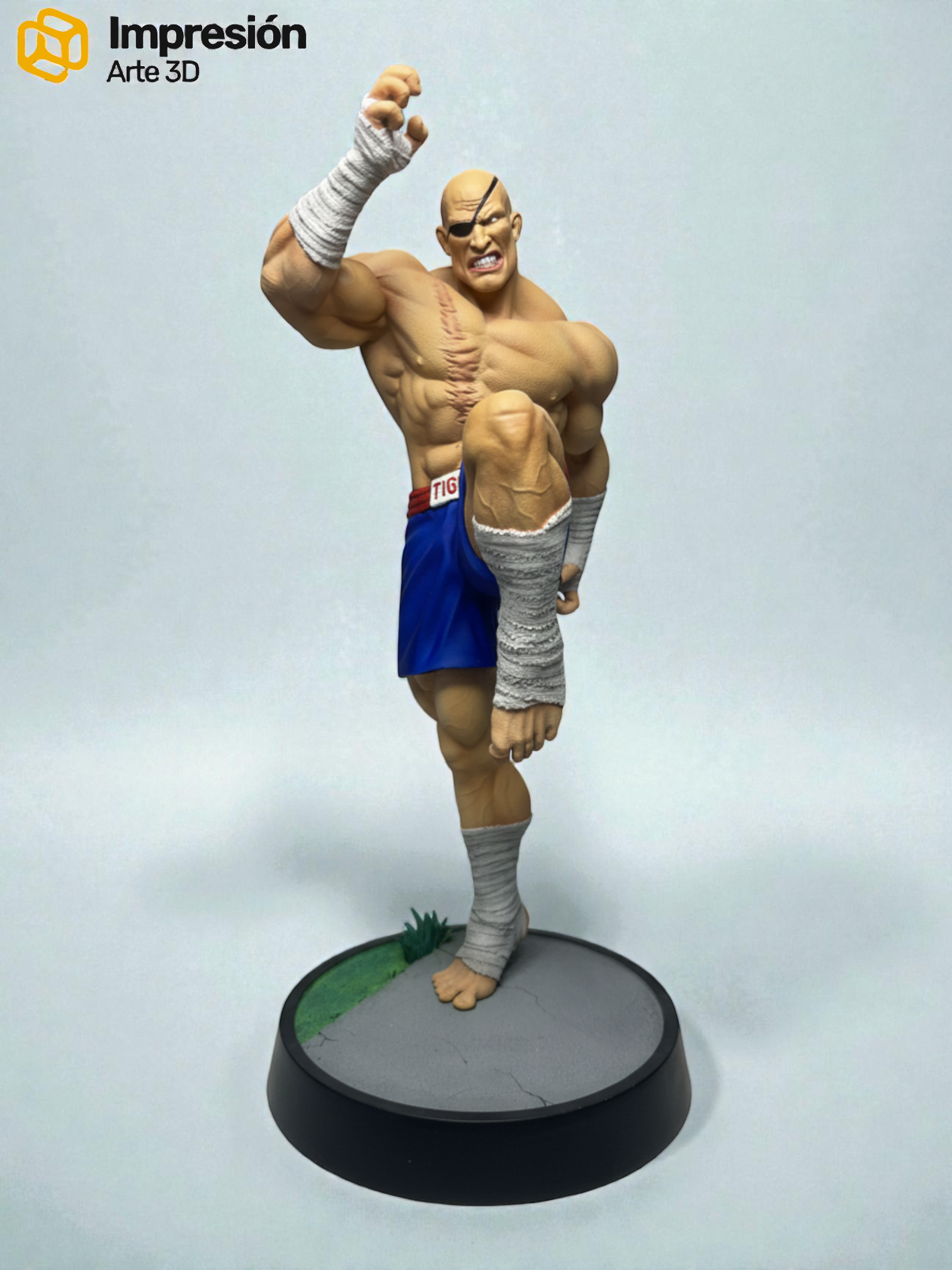 Sagat De Street Fighter